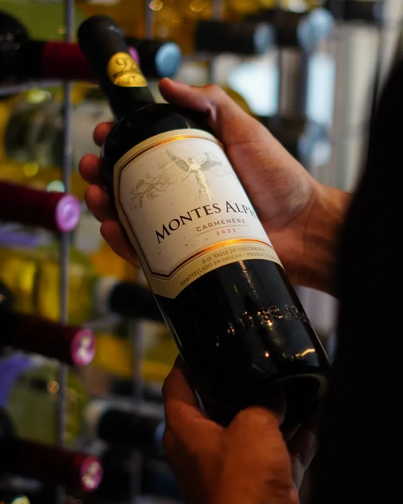 Garrafa de vinho sendo apresentada em frente à adega